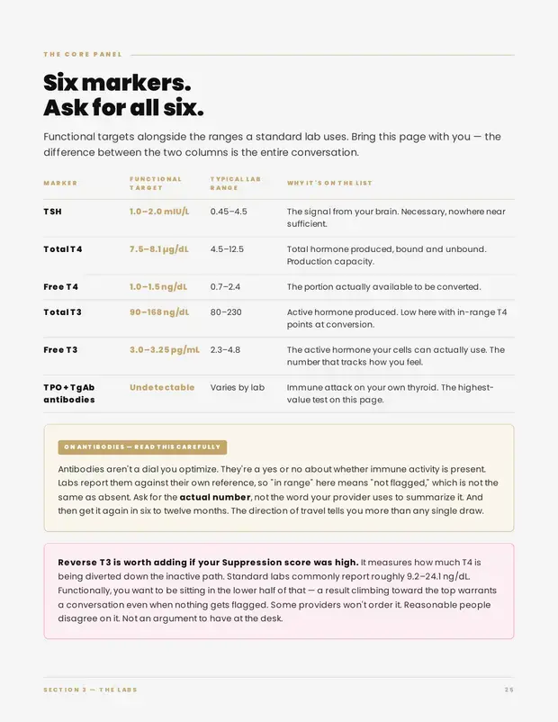 Sample page — the core lab panel